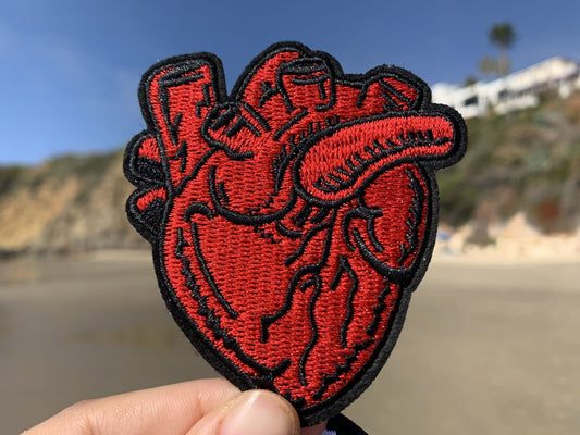 Anatomy Heart Iron On Patch